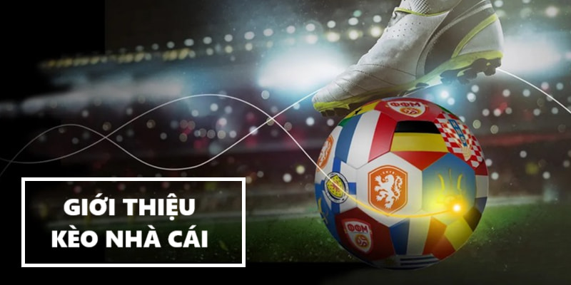 Vai trò của kèo nhà cái hôm nay trong cá cược hiện đại